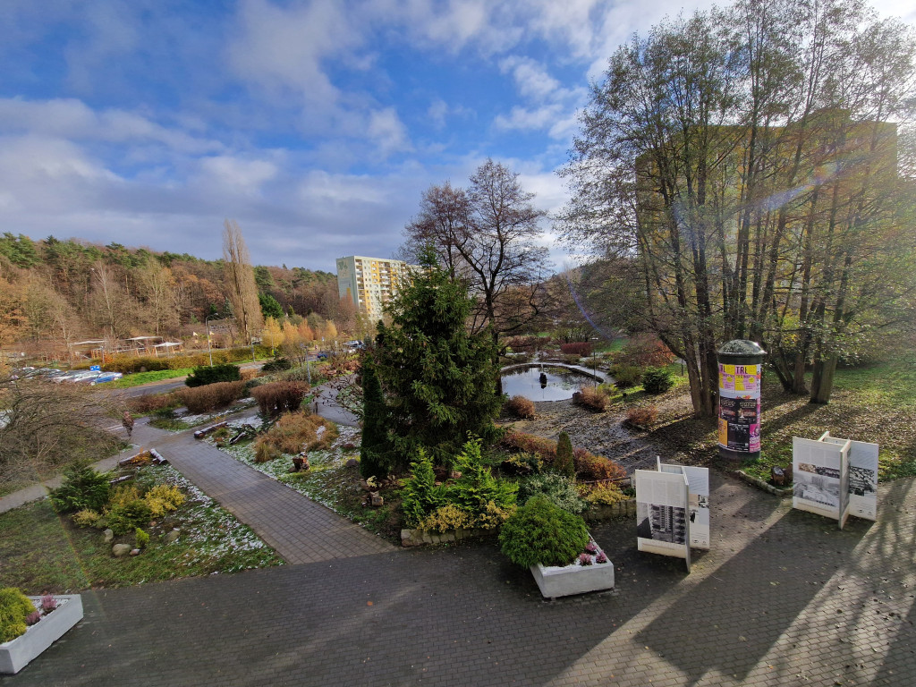 Pierwszy śnieg tej jesieni w Sopocie! Ulotna biała pierzynka na Brodwinie [FOTO]