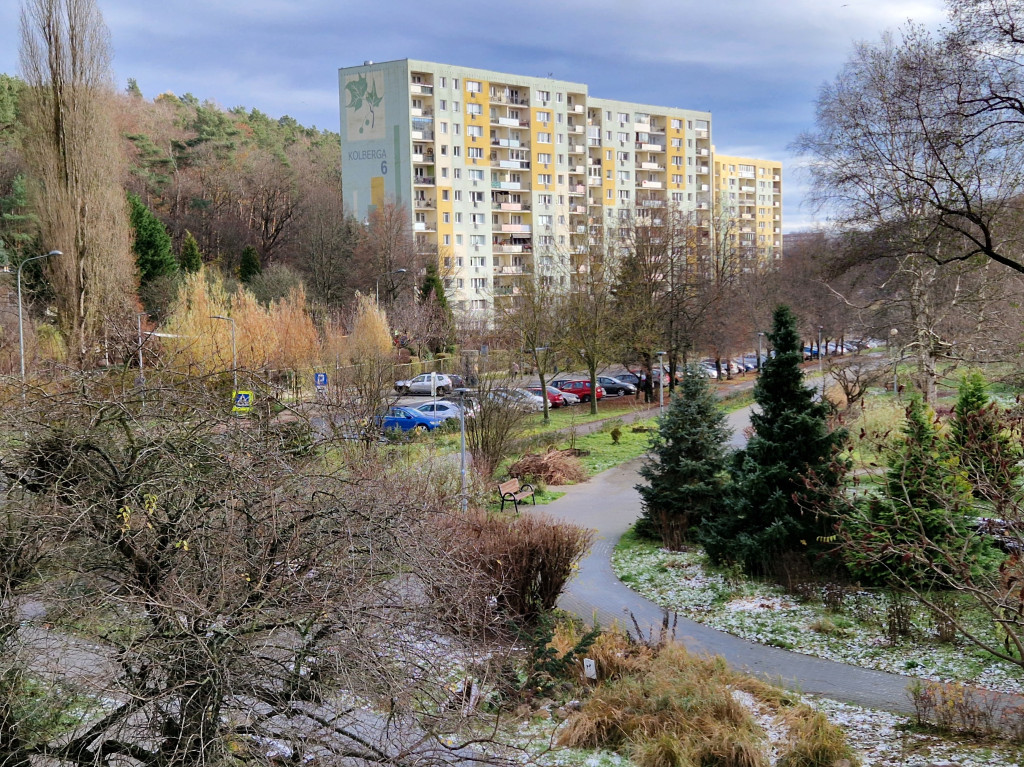 Pierwszy śnieg tej jesieni w Sopocie! Ulotna biała pierzynka na Brodwinie [FOTO]