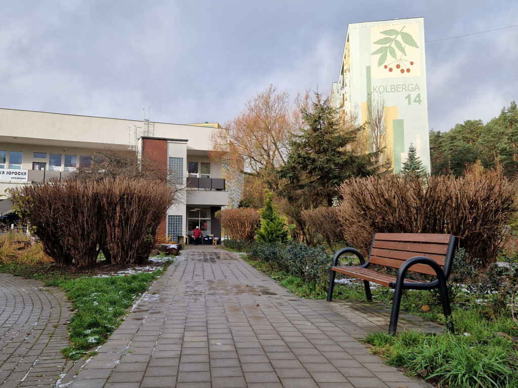 Pierwszy śnieg tej jesieni w Sopocie! Ulotna biała pierzynka na Brodwinie [FOTO]