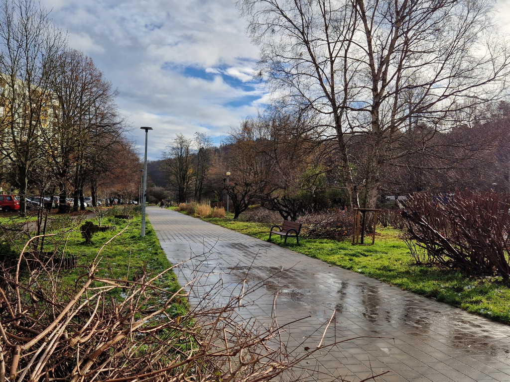 Pierwszy śnieg tej jesieni w Sopocie! Ulotna biała pierzynka na Brodwinie [FOTO]