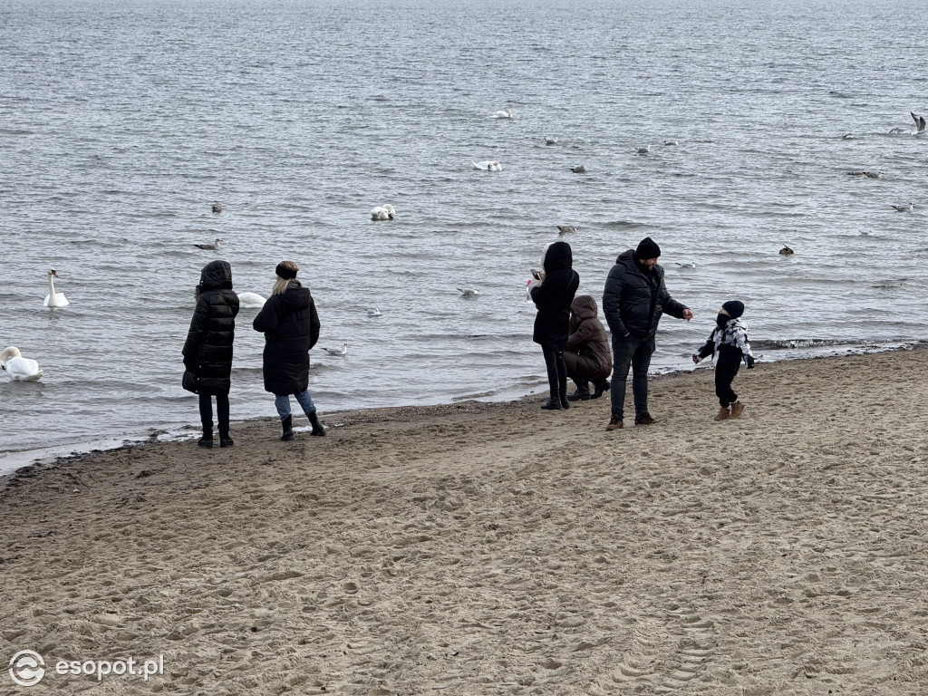 Mikołajki w Sopocie. Czerwone czapki opanowały Monciak i molo [FOTO]