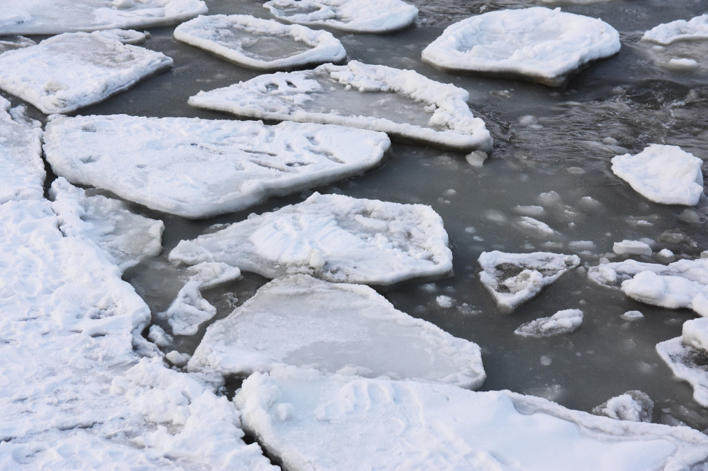 Sopot zimą zachwyca spokojem! Zobacz surowe piękno kurortu [FOTO]