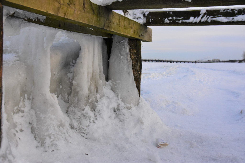 Sopot zimą zachwyca spokojem! Zobacz surowe piękno kurortu [FOTO]