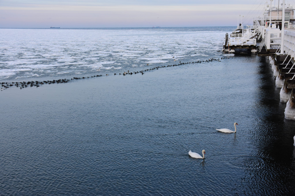 Sopot zimą zachwyca spokojem! Zobacz surowe piękno kurortu [FOTO]