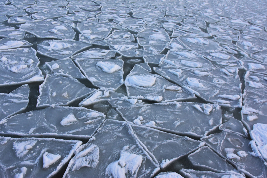 Sopot zimą zachwyca spokojem! Zobacz surowe piękno kurortu [FOTO]