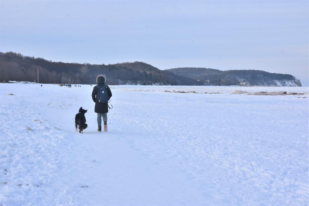 Sopot zimą zachwyca spokojem! Zobacz surowe piękno kurortu [FOTO]