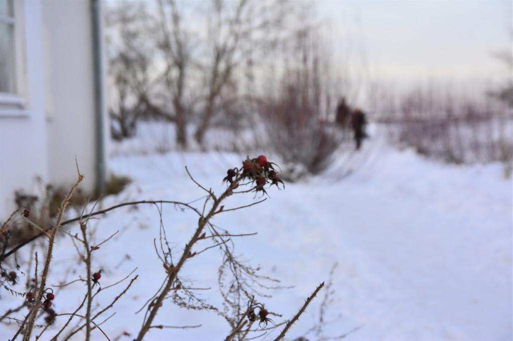 Sopot zimą zachwyca spokojem! Zobacz surowe piękno kurortu [FOTO]
