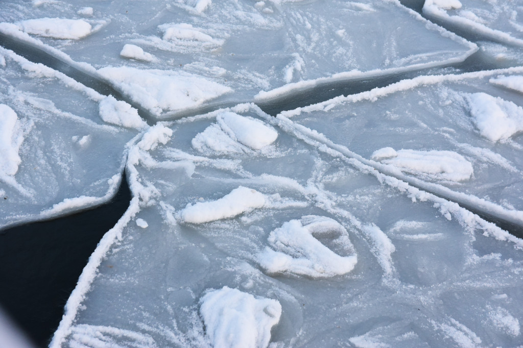 Sopot zimą zachwyca spokojem! Zobacz surowe piękno kurortu [FOTO]