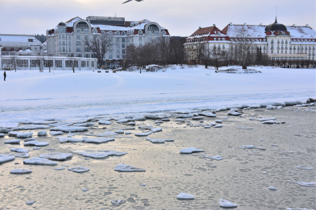 Sopot zimą zachwyca spokojem! Zobacz surowe piękno kurortu [FOTO]