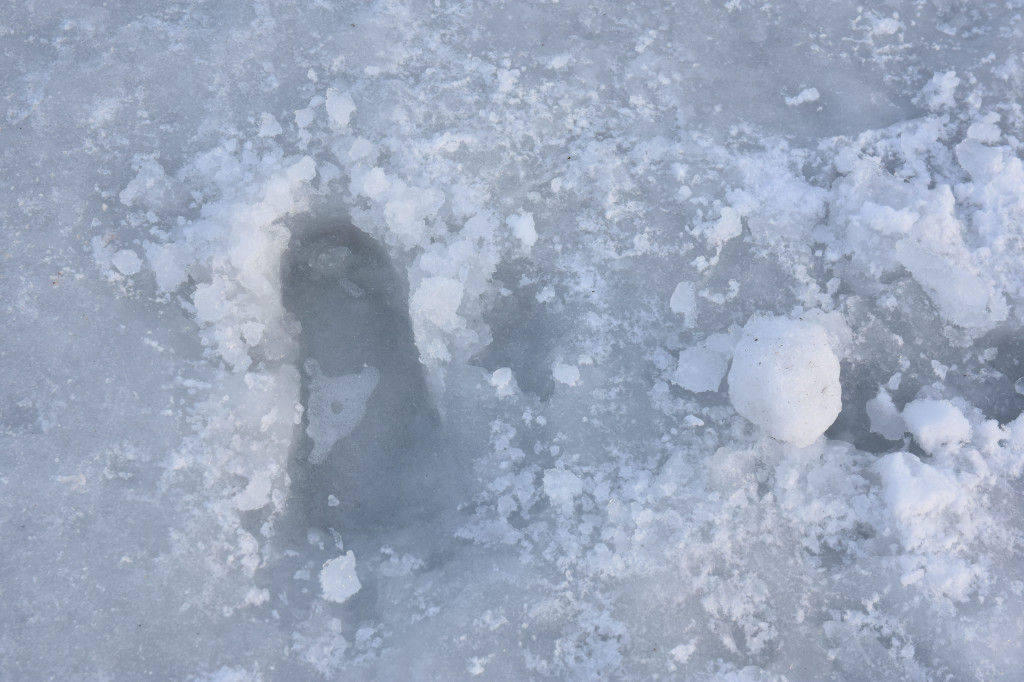 Sopot zimą zachwyca spokojem! Zobacz surowe piękno kurortu [FOTO]