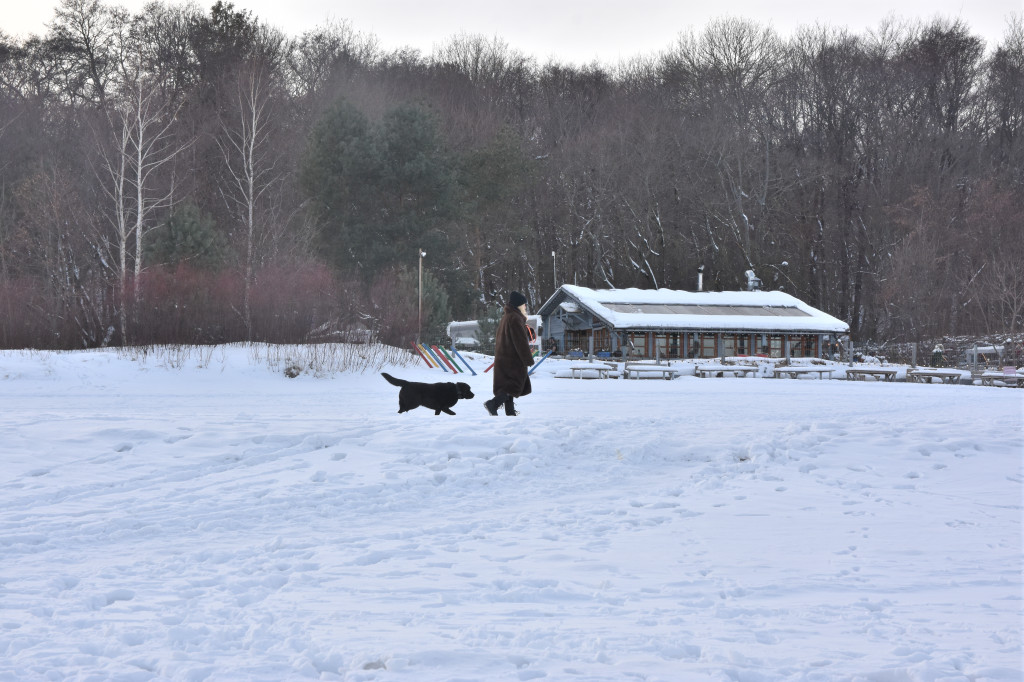 Sopot zimą zachwyca spokojem! Zobacz surowe piękno kurortu [FOTO]