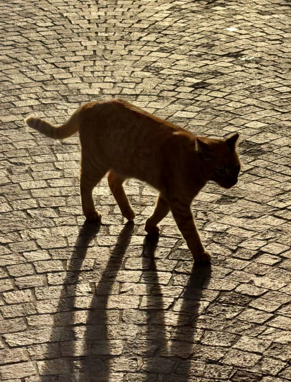 Magia wschodów słońca. Od sopockiej plaży po oceaniczne wybrzeża [FOTO]