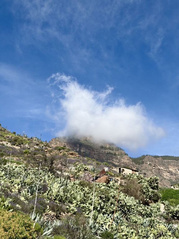 Magia wschodów słońca. Od sopockiej plaży po oceaniczne wybrzeża [FOTO]