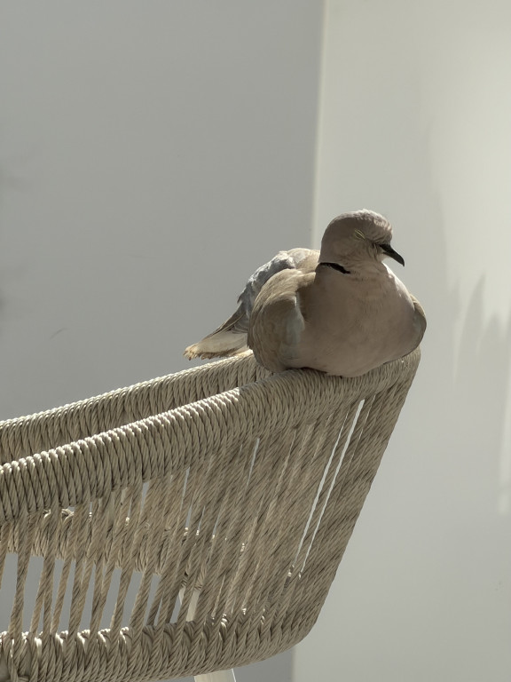Magia wschodów słońca. Od sopockiej plaży po oceaniczne wybrzeża [FOTO]