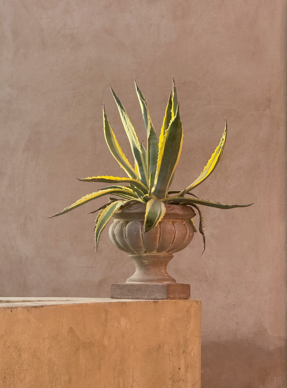 Magia wschodów słońca. Od sopockiej plaży po oceaniczne wybrzeża [FOTO]