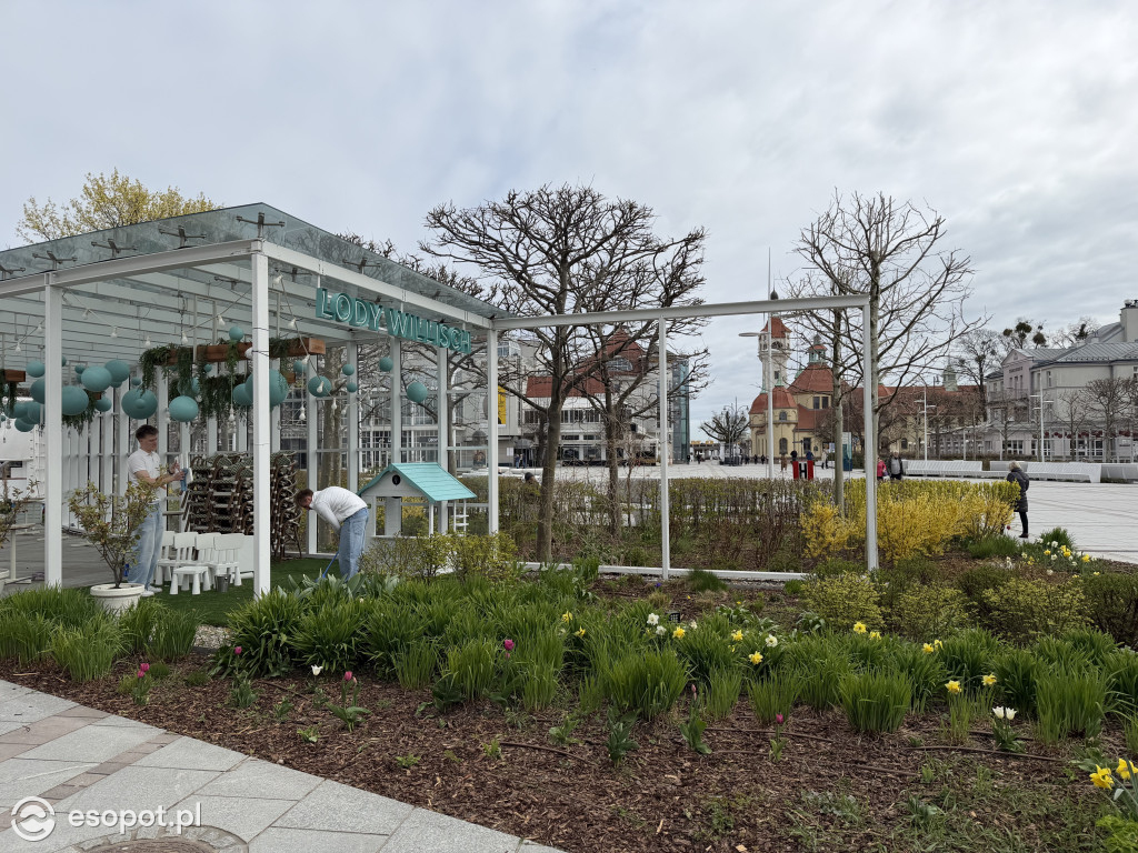 Tyle kosztują lody, gofry i zapiekanki w Sopocie [FOTO]