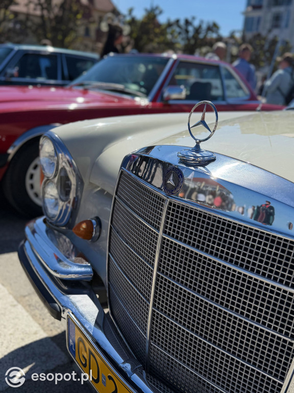 Klasyczne Mercedesy na Skwerze Kuracyjnym. Sopot znów przyciągnął fanów motoryzacji [FOTO]