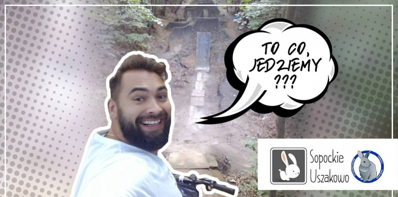 Nie uwierzysz co zrobi za 2000 zł ! Sopockie uszy