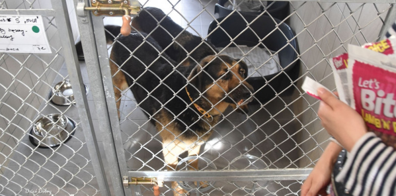 Komisja z wizytą w Sopotkowie. Co ustalono?