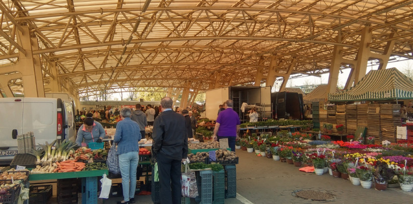 Świeże produkty prosto z pola! Sopocki Rynek przyciąga tłumy [Ankieta]