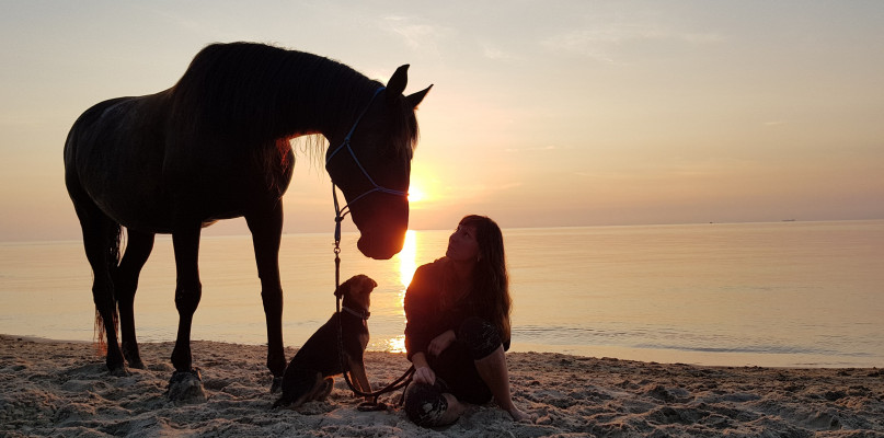 Konie mamy w naturze! Wyjątkowy ośrodek konny Adventure Parku