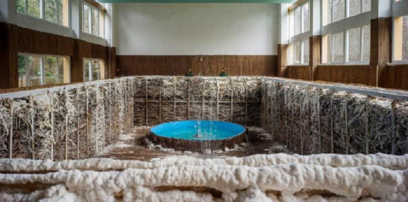 Sopot: Za darmo, ale nie dla wszystkich.  Kto skorzysta z 10-dniowej rehabilitacji