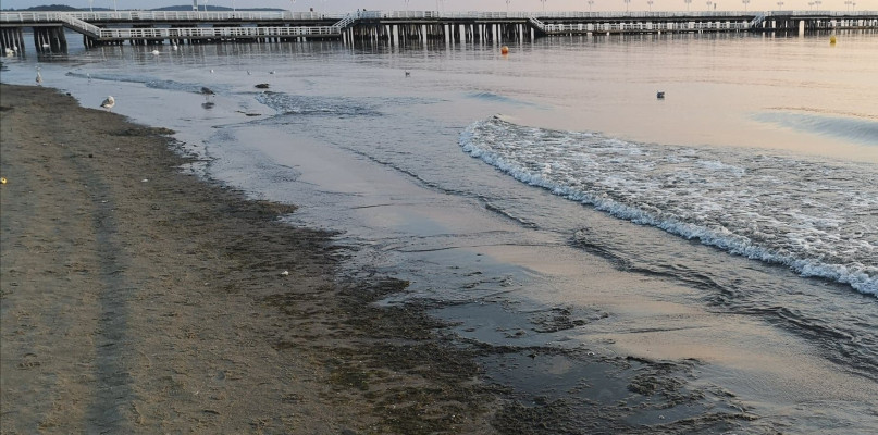 Sopot: Sinice powróciły! Sanepid zamknął sopockie kąpieliska [MAPA]