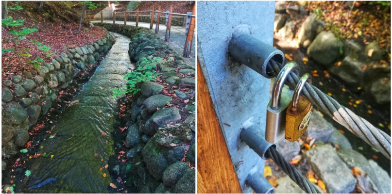 Sopotludki są wśród nas? Spacer wzdłuż Potoku Elizy