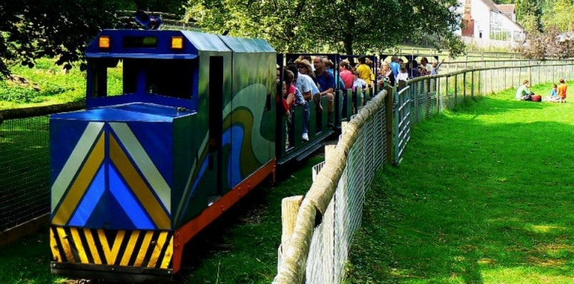 W Sopocie powstanie park kolejowy! Atrakcja ruszy już w maju