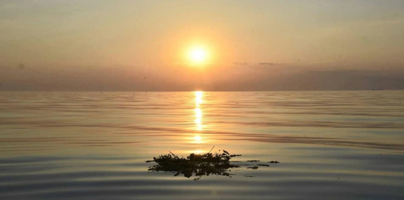 To już dziś! Przesilenie letnie, najdłuższy dzień i najkrótsza noc w roku