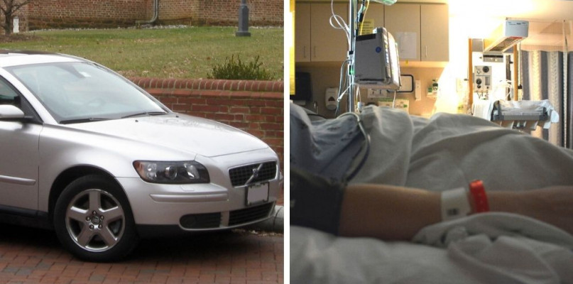 /zdjęcie poglądowe, fot. Amila Tennakoon, Flickr.com (CC BY 2.0), publicdomainpictures.net