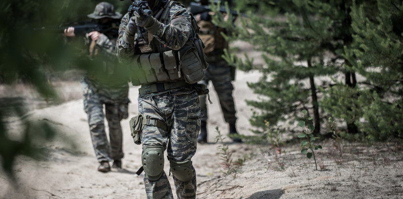 Zdjęcie ilustracyjne. Fot. pixaby.com/pl