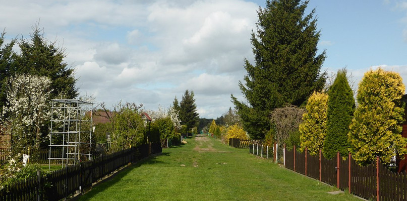 Sopockie ogródki działkowe do likwidacji. Miasto chce je przenieść poza kurort