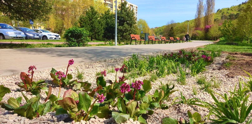 W Sopocie powstaje ogród deszczowy! To inwestycja za blisko 70 tys. zł [FOTO]