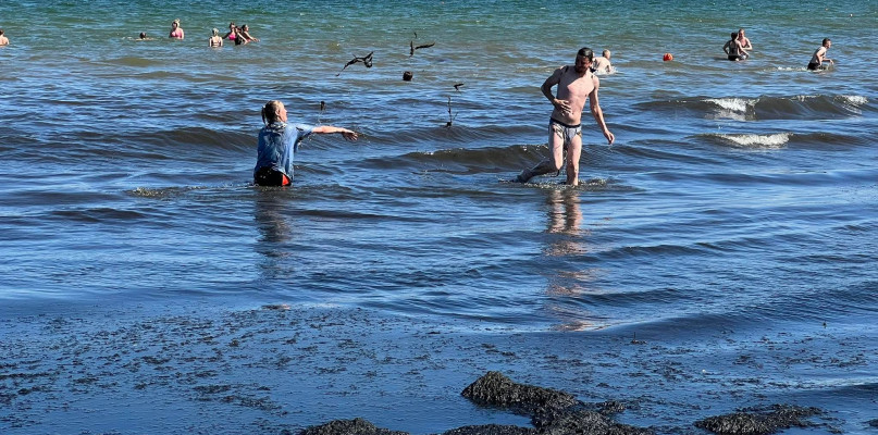 Glony zmorą turystów w Sopocie? Sprawdź, na co lepiej uważać