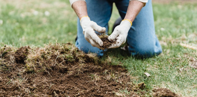 Najlepsza glebogryzarka – jak ją dobrać i czego od niej oczekiwać