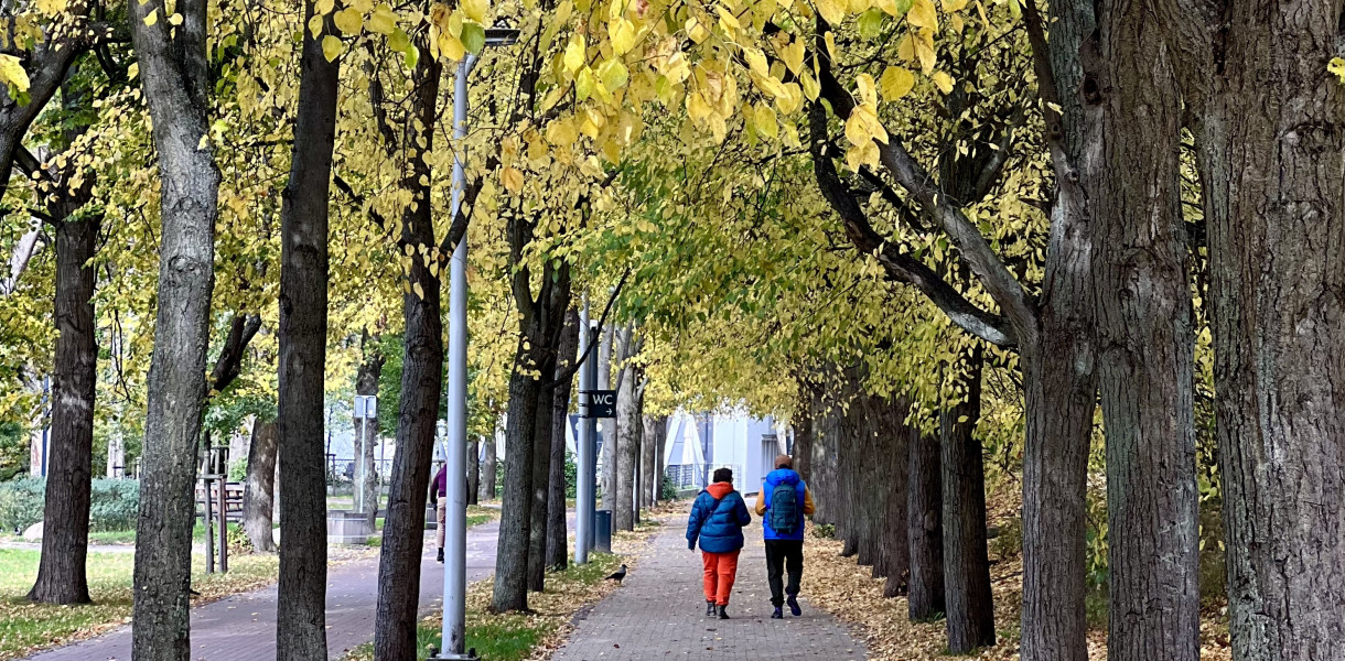 Jesień - czas zachorowań. Czy musi tak być?