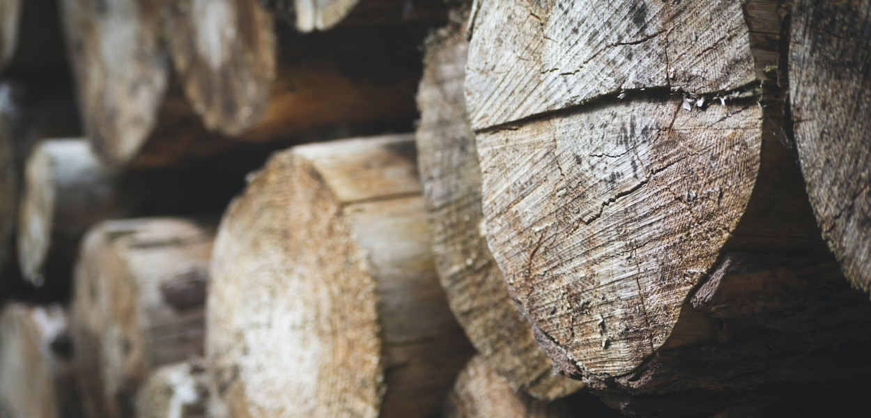 Czy i dlaczego warto brać drewno z tartaku?