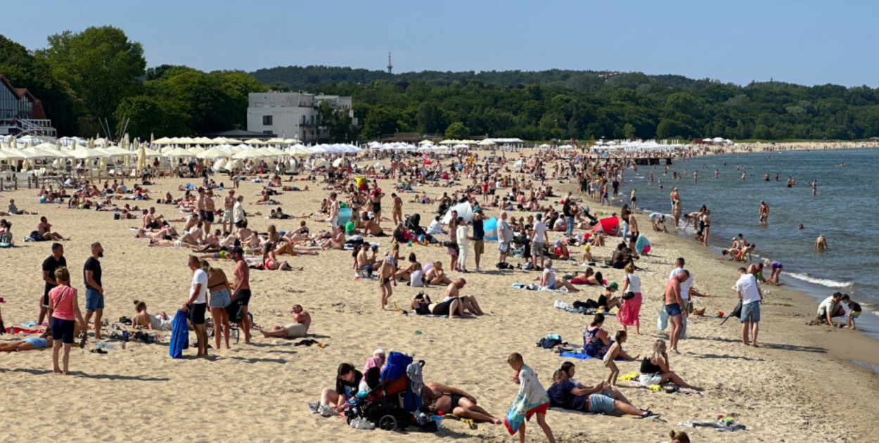 Jedziesz na wakacje nad wodę? Informują o sinicach i zamkniętych kąpieliskach