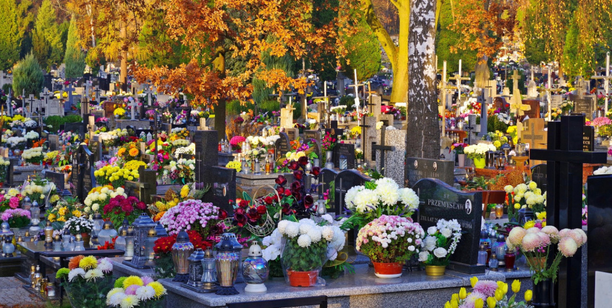 Jest jak Facebook dla zmarłych! Jak działa sopocki Grobonet?