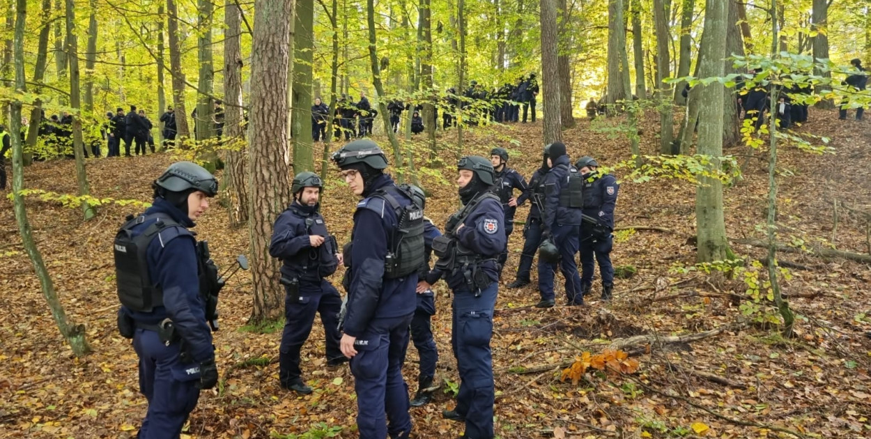 Zakaz wchodzenia do lasów i obława nawet pod Wejherowem. Kolejny alert dla...