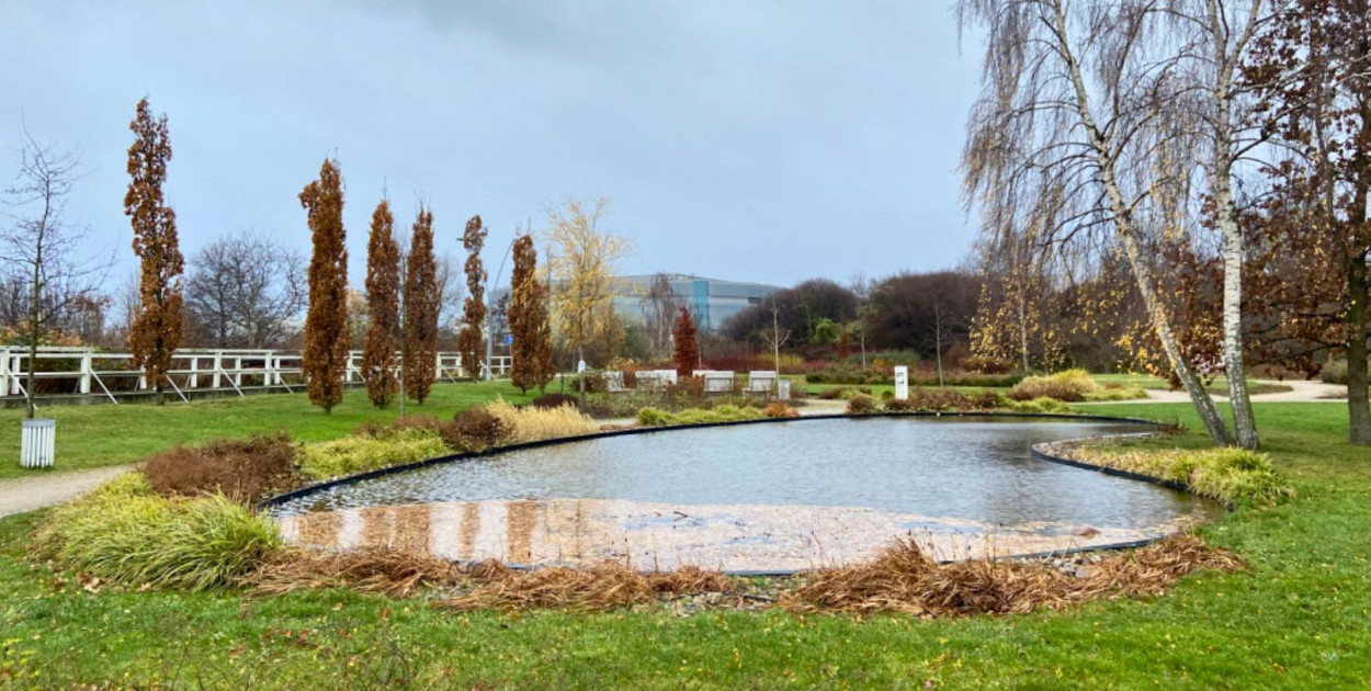 Sopot to nie tylko centrum! Karlikowo też Was zachwyci [OPINIA]