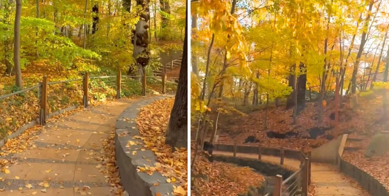 Czy to najpiękniejsze miejsce w Sopocie? Mało turystów je kojarzy [WIDEO]