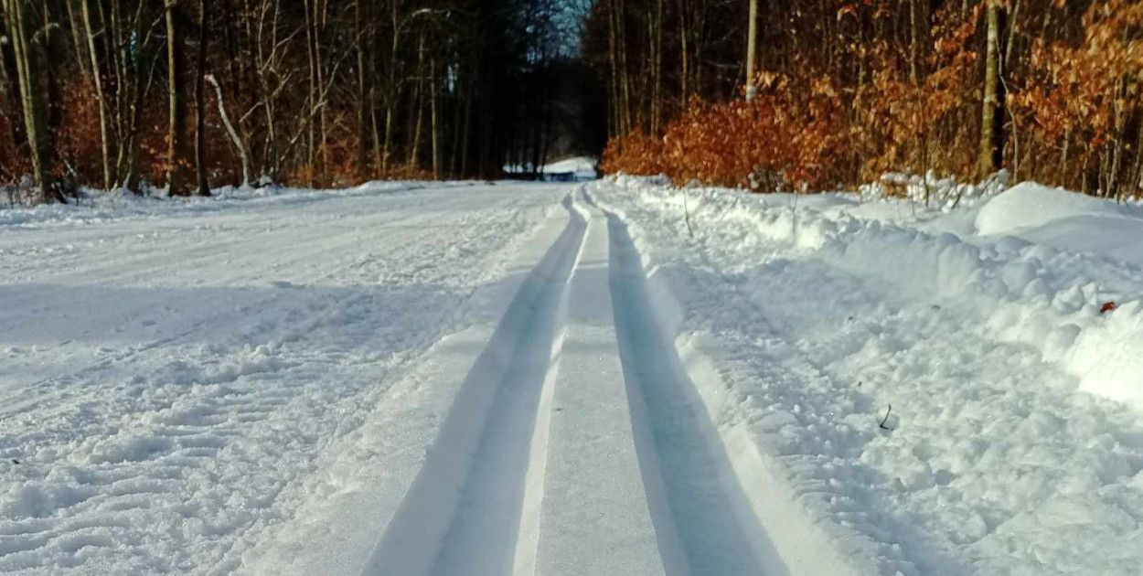 Fot. Magdalena Czarzyńska-Jachim - SOPOT / Facebook