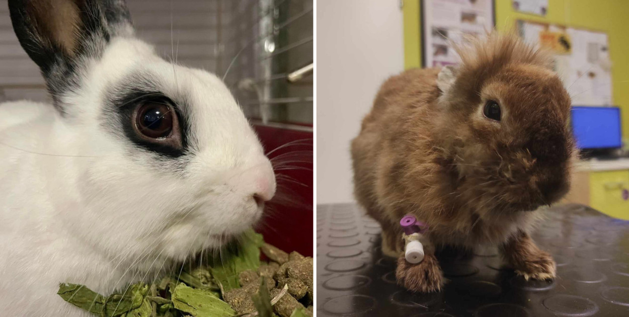 Fot. Sopockie Uszakowo