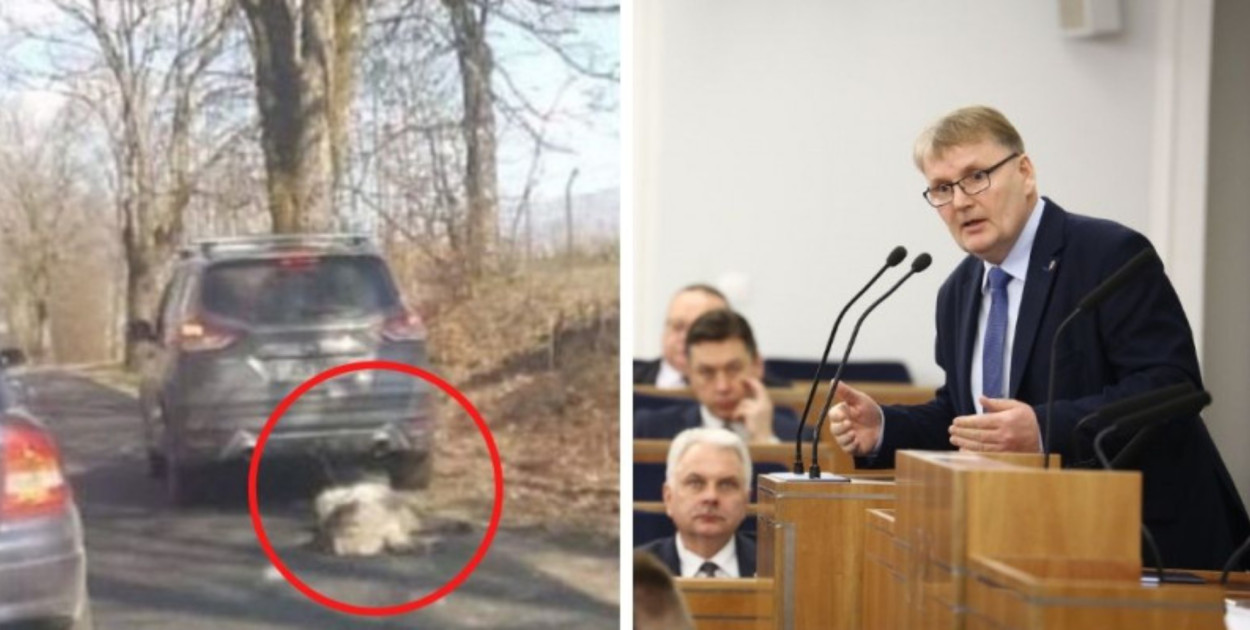 Były senator PiS z Kaszub skończy w więzieniu? Ciągnął psa za samochodem
