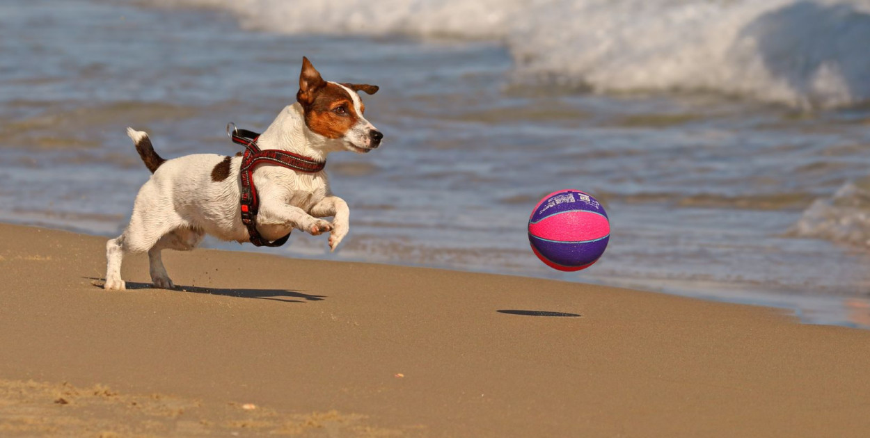 Fot. Pexels. Zdjęcie poglądowe