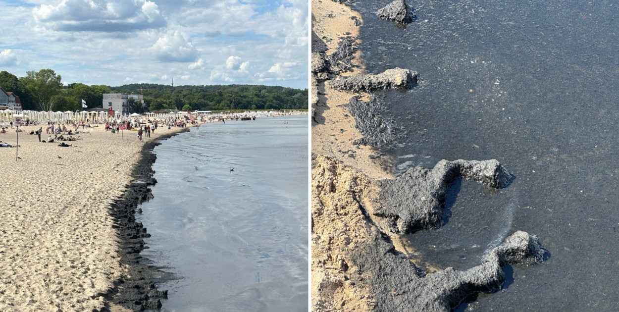 Glony przy sopockim molo. Czy tak powinno wyglądać to miejsce? [WIDEO]