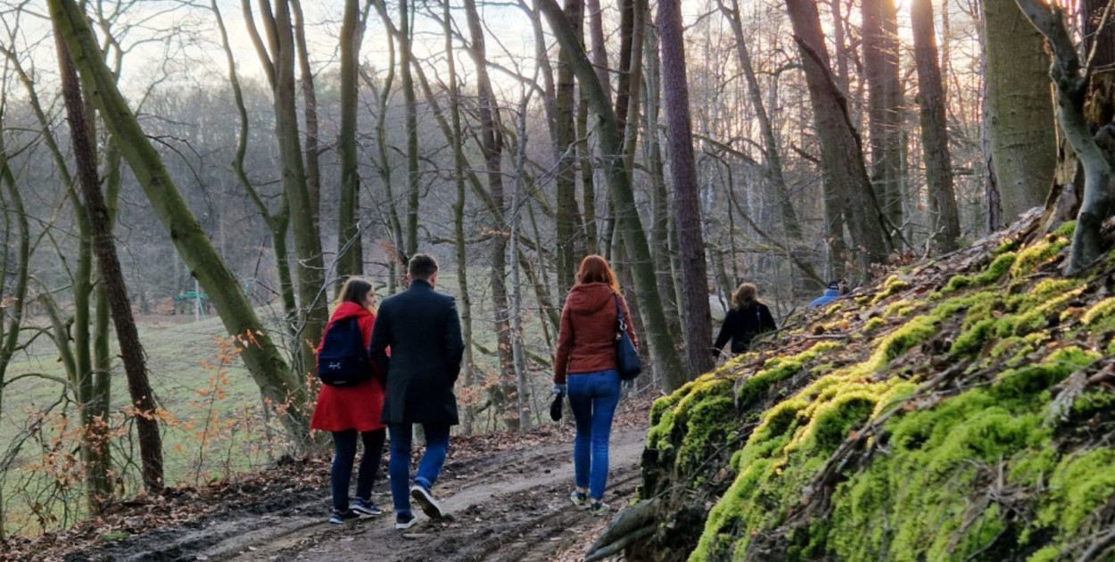 Czy Lasy Sopockie staną się rezerwatem? Decyzja zapadnie już wkrótce