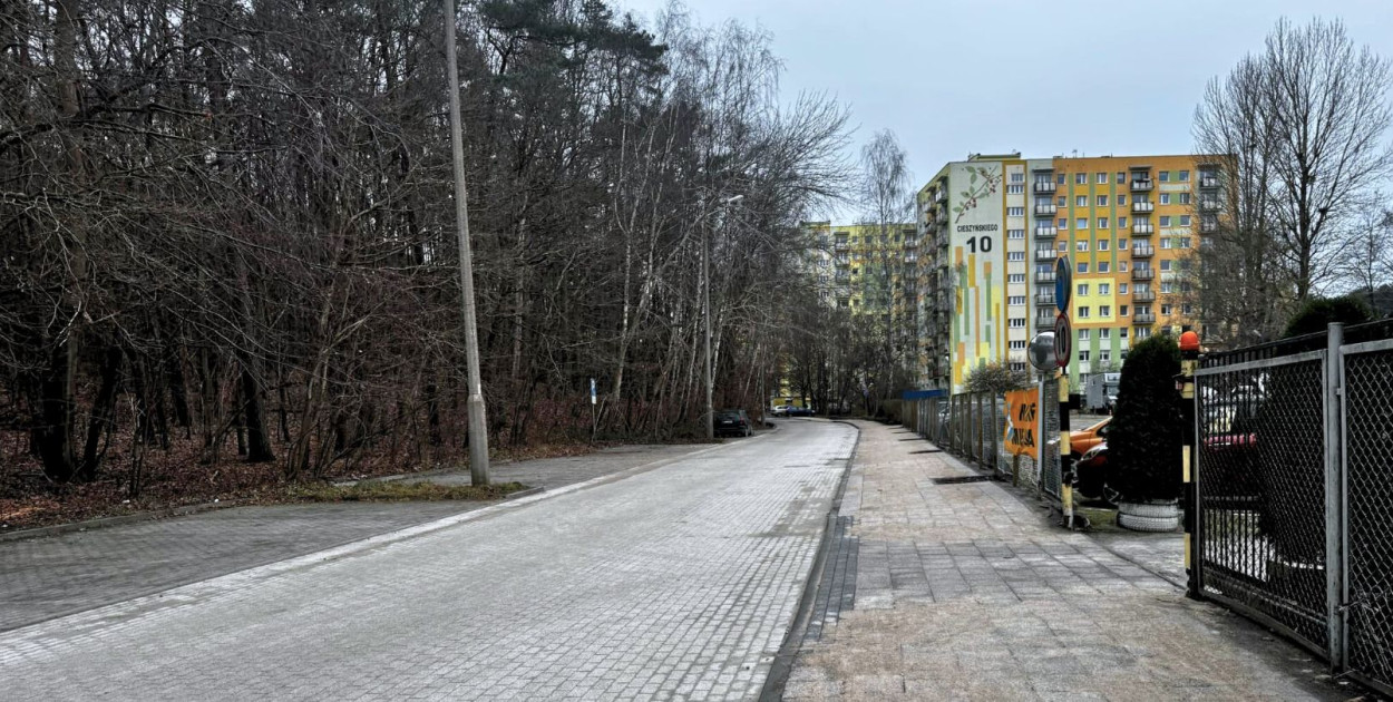 Foy. Małgorzata Osowiecka-Szczygieł